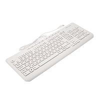 Input Devices