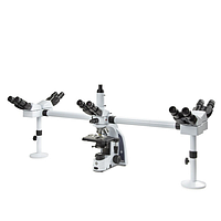 Euromex IS.1156-PLi5 iScope trinocular multihead microscope with 4 extra binocular heads (EWF 10x/20 mm, 4/10/S40/S100x)