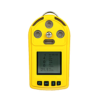 Oceanus OC-904 Handheld Portable TVOC Gas Detector For Industrial Use (TVOC: 0~300ppm/500ppm)
