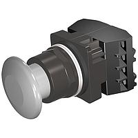 SIEMENS 52BM9W6B Pushbutton PUSHBUTTON,MOM,GRY,1 3/4" PLST,2POS,2BJK