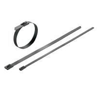 Weidmuller 1015300000 Cable Ties SCT-C 4.6/840