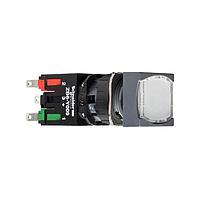 SCHNEIDER XB6CW1B5B Flush PUSHBUTTON 240VAC 1.5AMP XB6