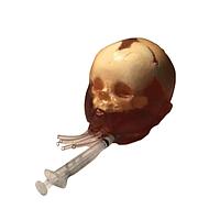 True Phantom Solutions HD-N03 Newborn Head (Dynamic) For X-Ray CT, US, MRI