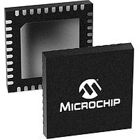 Motor / Motion / Ignition Controllers & Drivers