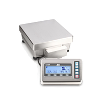 KERN FEJ 62K-4DM Precision Balance (6.2 / 62 kg; 0.1 / 1 g)