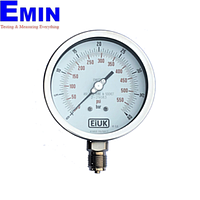 Single Pressure Digital Gauge