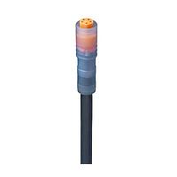 Lumberg Automation RKM 5-671/20 M Sensor Cables / Actuator Cables