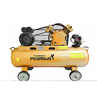 PEGASUS TM-V-0.25/8-70L Air compressor (70L)