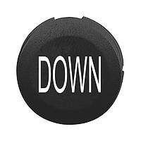 SCHNEIDER ZB6YA228 Cap, Pushbutton, Marked 16MM PB CAP 65168-024