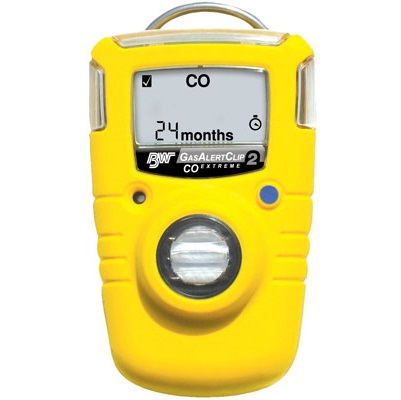 Inspection service for single gas meters and gas detection instruments