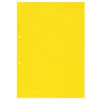 Weidmuller 1631350000 DIN Rail Terminal Blocks ESO 5 DIN A4 GE