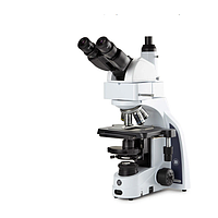 Euromex IS.1159-PLPHi iScope with binocular ergonomic 5-35° tilting head (EWF 10x/22 mm, 10/20/S40/S100x)