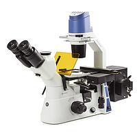Euromex OX.2253-PLPHF Inverted Oxion trinocular microscope for fluorescence (WF10x/22mm, 10x/20x/40x)