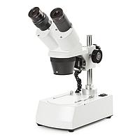 Euromex 50.931 Binocular stereo microscope AP-8-LED (WF10x/20mm, 20x/40x)