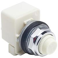 Square D 9001KP38LWW31 Pilot Light PILOTLIGHT 120V 30MM TYPE K
