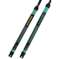 ZD INSTRUMENT RS-100B Hydroponics Nutrient Testing Stick Series (0 – 100 CF; 0.0 – 10.0 EC;  0 – 1999 ppm (×10))