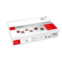 Wurth Elektronik 744824 Power Line Choke WE-CMB, WE-ExB WE-CMBNC 15 values 30 components