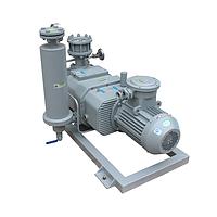 Hokaido RSP550 Dry screw vacuum pump (550 m³/h, 15kW, 4Pa)