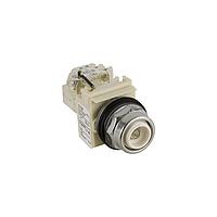 SCHNEIDER 9001KT38 Pilot Light PILOTLIGHT 120VAC 30MM TYPE K