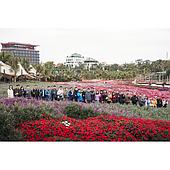 EMIN Lunar New Year Excursion 2025