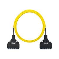 Panduit F9TSPXNXNSNF040 Fiber Optic Cable Assemblies OS2 12f Trunk OFNP LC Cass/LC Cass Std P