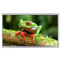 Newhaven Display NHD-10.1-1024600BF-ASXP IPS TFT LCD Displays 10.1 inch IPS TFT
