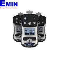 Single Gas Meter Inspection Service
