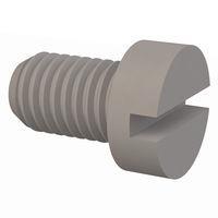 Essentra Components 50M100150D016 Machine Screw Cheese Slotted Screw, M10 X 1.5 Thread, 16mm Lg